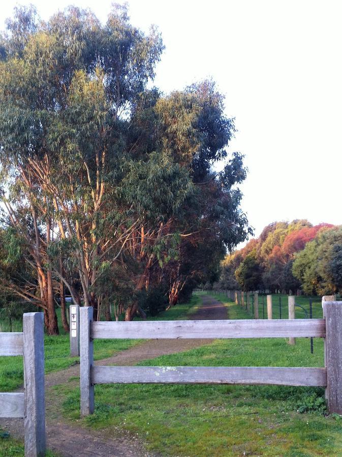 The Estate Koroit Boutique Hotel Eksteriør billede